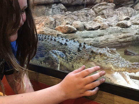 Canberra Reptile Zoo - Whitsundays Accommodation 0