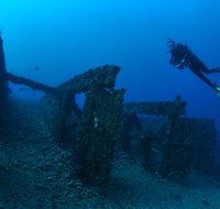 Cementco Dive Site - Whitsundays Accommodation