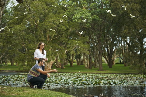 Centennial Parklands - Whitsundays Accommodation 0