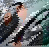 Cleland Wildlife Park - Koala Hold - Whitsundays Accommodation