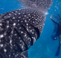 Coastal Water Dive - Whitsundays Accommodation