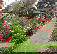Cowra Rose Garden - Whitsundays Accommodation