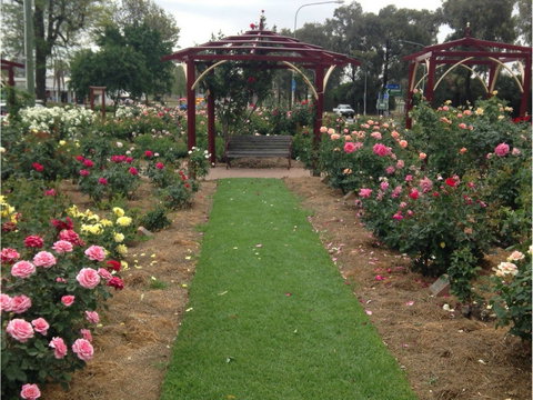 Cowra Rose Garden - Whitsundays Accommodation 1