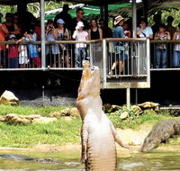 Crocodylus Park and Zoo
