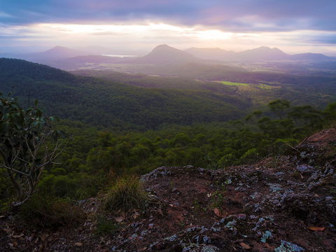Cunninghams Gap And Spicers Gap, Main Range National Park - Whitsundays Accommodation 0