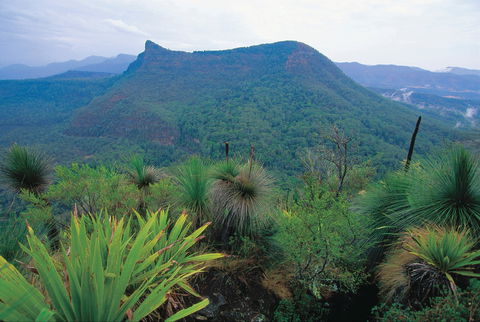 Cunninghams Gap And Spicers Gap, Main Range National Park - Whitsundays Accommodation 1