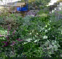Down to Earth Permaculture - Whitsundays Accommodation