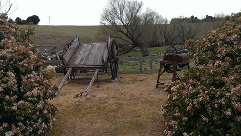 Early Settlers Hut - Whitsundays Accommodation 2