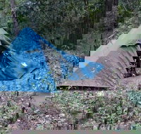 England Creek Bush Camp - Whitsundays Accommodation