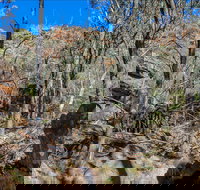 Eualdrie Walking Track - Whitsundays Accommodation