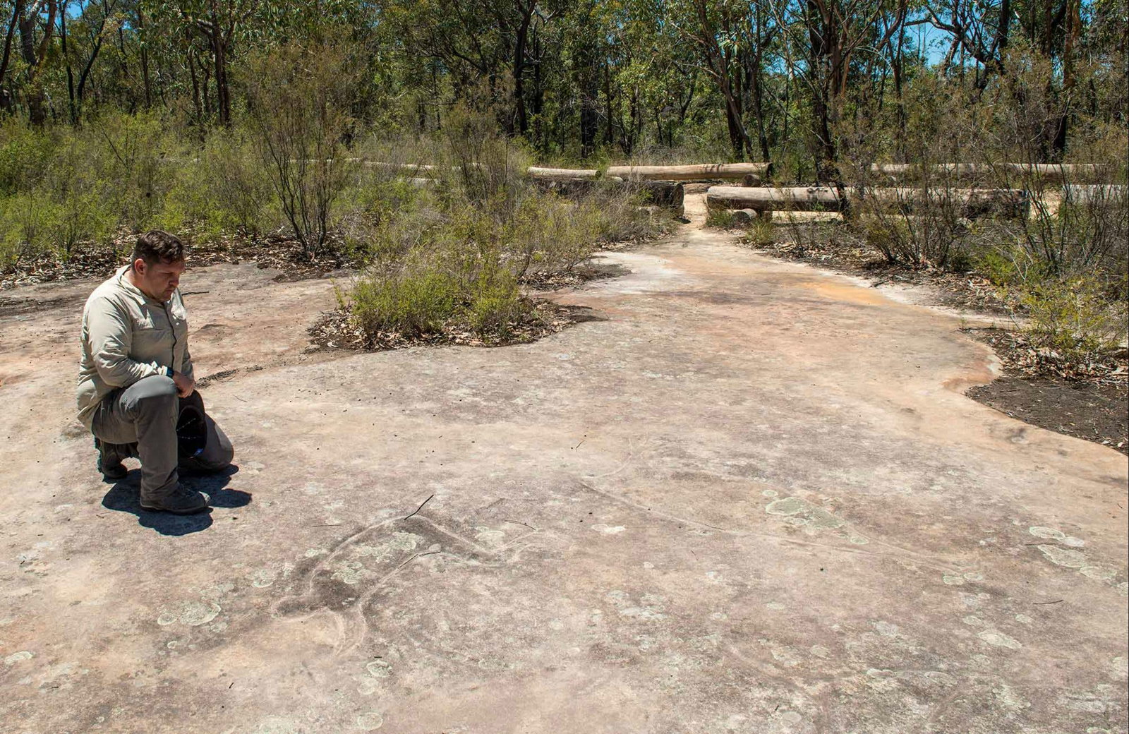 Big Yengo NSW Whitsundays Accommodation