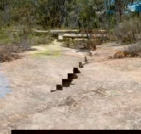 Finchley Cultural Walk - Whitsundays Accommodation