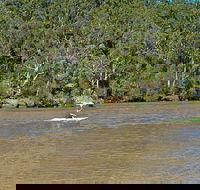 Fitzpatrick Park - Whitsundays Accommodation