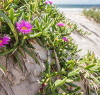 Fort Bribie - Whitsundays Accommodation
