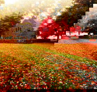 Gostwyck Chapel - Whitsundays Accommodation