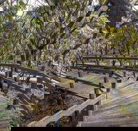 Governor Summit Corrunbral Borawah Walking Track - Whitsundays Accommodation