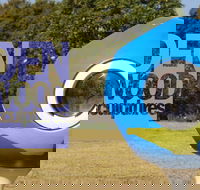 Hidden Rookwood Sculptures