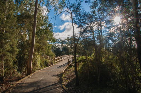 Koomba Park - Whitsundays Accommodation 0