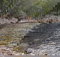 Lake Rowallan - Whitsundays Accommodation