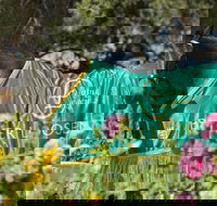 Living Legends The International Home of Rest for Champion Horses - Whitsundays Accommodation