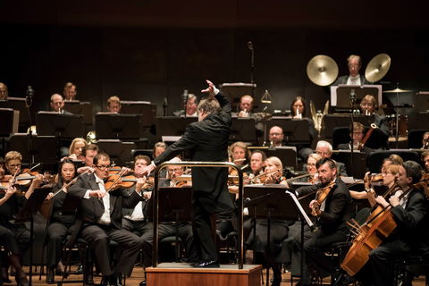 Melbourne Symphony Orchestra - Whitsundays Accommodation 0