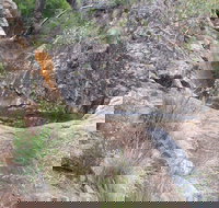 Mill-bullah Walking Track - Whitsundays Accommodation