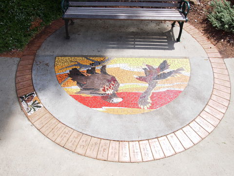 Mosaic Pathway (WASS) - Whitsundays Accommodation 2