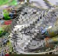 Nelly's Niche - Whitsundays Accommodation