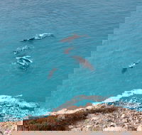 Nullarbor National Park - Whitsundays Accommodation