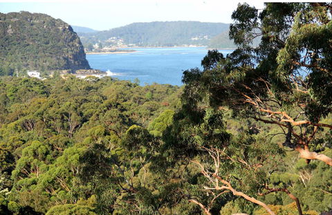 Patonga To Pearl Beach Walking Track - Whitsundays Accommodation 0