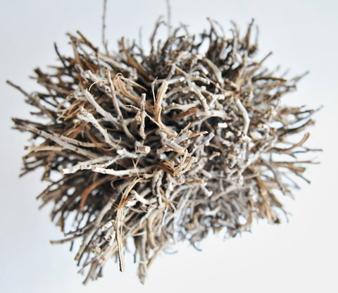 Serpentine Gallery - Whitsundays Accommodation 0