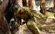Skirmish Sunshine Coast Outdoor Paintball - thumb 2