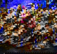 The Pink Flamingo Spiegelclub Gold Coast - Whitsundays Accommodation