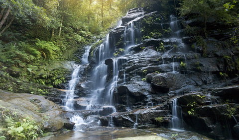 Valley Of The Waters - Whitsundays Accommodation 1