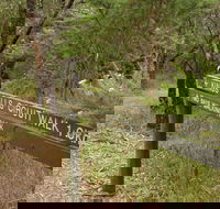 Waterfall Gully - Kings Falls Circuit Walk - Whitsundays Accommodation