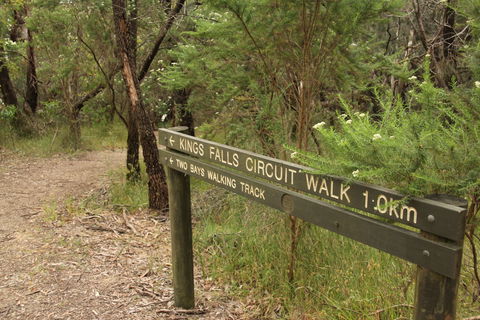 Waterfall Gully - Kings Falls Circuit Walk - Whitsundays Accommodation 0