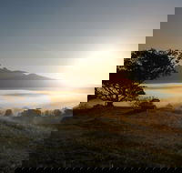 Wollumbin-Mount Warning National Park - Whitsundays Accommodation