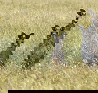 Woodlands Historic Park - Whitsundays Accommodation