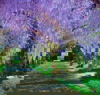 Alowyn Gardens and Nursery - Whitsundays Accommodation