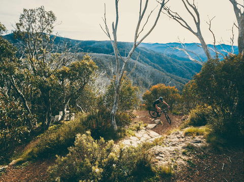 Australian Alpine Epic Mountain Bike Trail - Whitsundays Accommodation 1