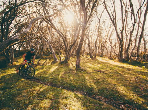 Australian Alpine Epic Mountain Bike Trail - Whitsundays Accommodation 2
