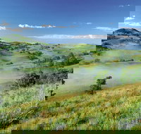 Bega - Whitsundays Accommodation