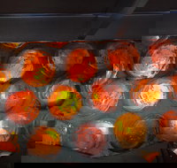 Bottle House and Mining Museum - Whitsundays Accommodation