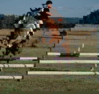 Camden Bicentennial Equestrian Park - Whitsundays Accommodation