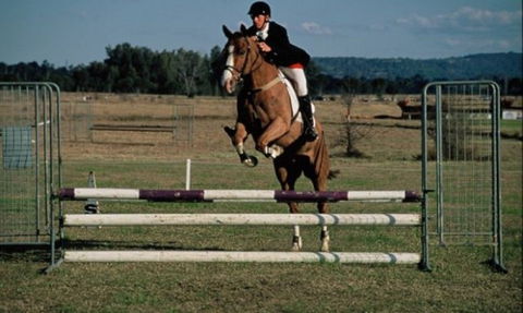 Camden Bicentennial Equestrian Park - Whitsundays Accommodation 0