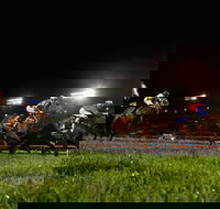 Canterbury Park Racecourse - Whitsundays Accommodation