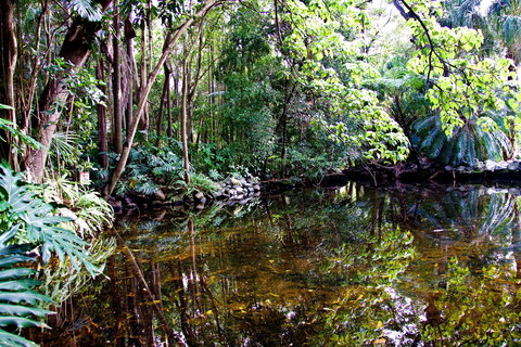 Cascade Gardens - Whitsundays Accommodation 2