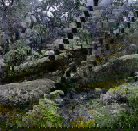 Cathedral Rock Track - Whitsundays Accommodation