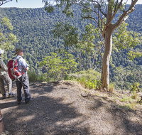 Caves circuit Lamington National Park - Whitsundays Accommodation