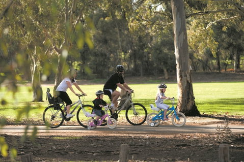 Coast To Vines Rail Trail - Whitsundays Accommodation 1